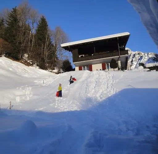 Engi 1 For Up To 8 People Grindelwald