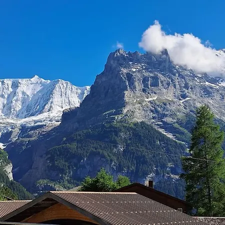 Engi 1 For Up To 8 People Grindelwald