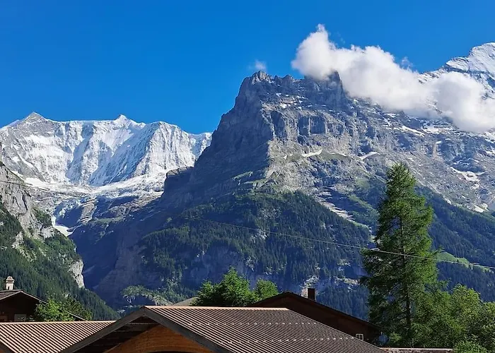 Engi 1 For Up To 8 People גרינדלוולד